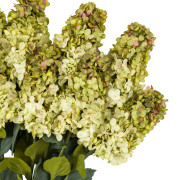 Vintage Cone Hydrangea Stem – White and Green 